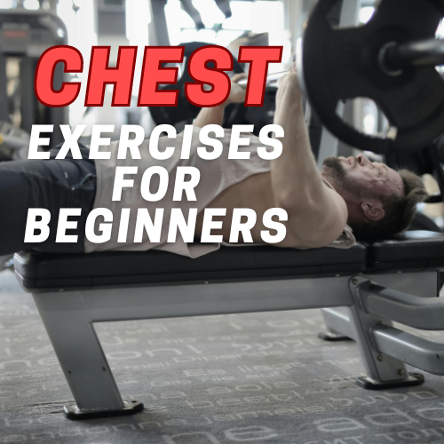 Chest Exercises For Beginners